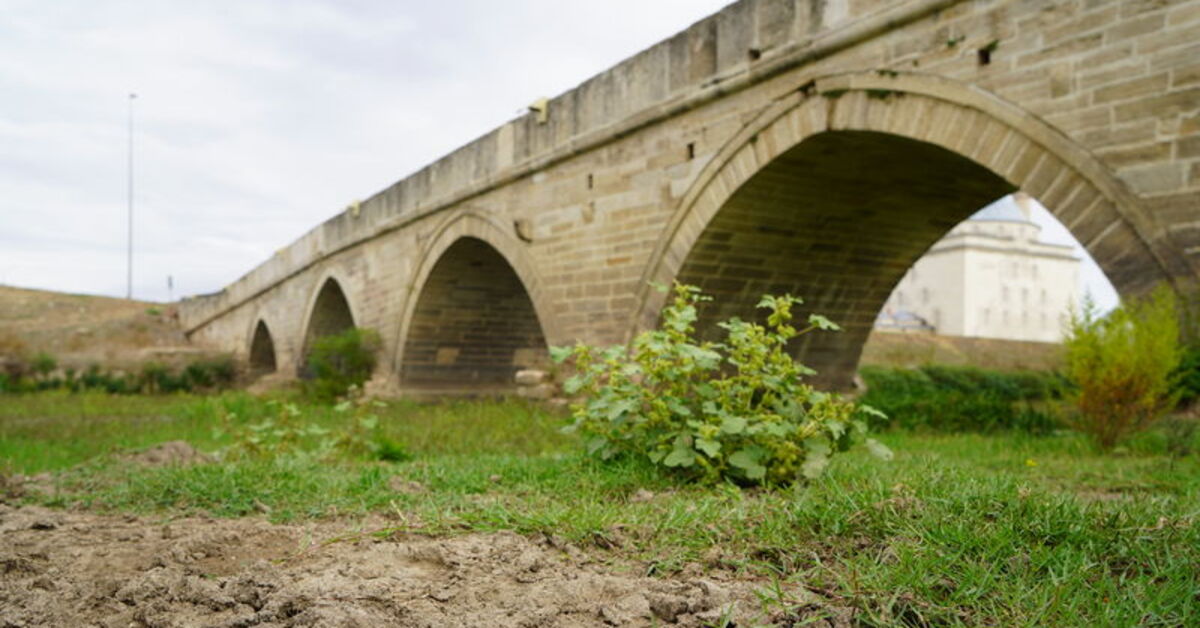 Edirne’deki Tunca Nehri’nde alarm: 4 yıl önce başladı!