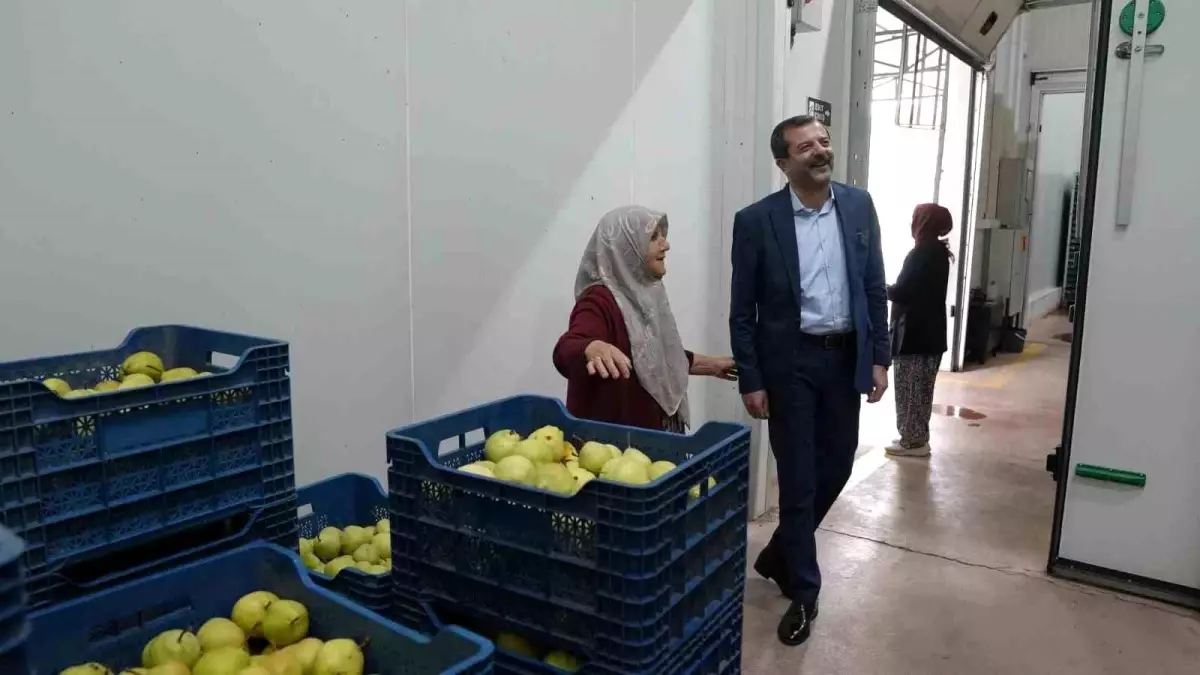 Hayriye Teyze’den Gürsu Armutuna Destek ve Girişimcilik Örneği