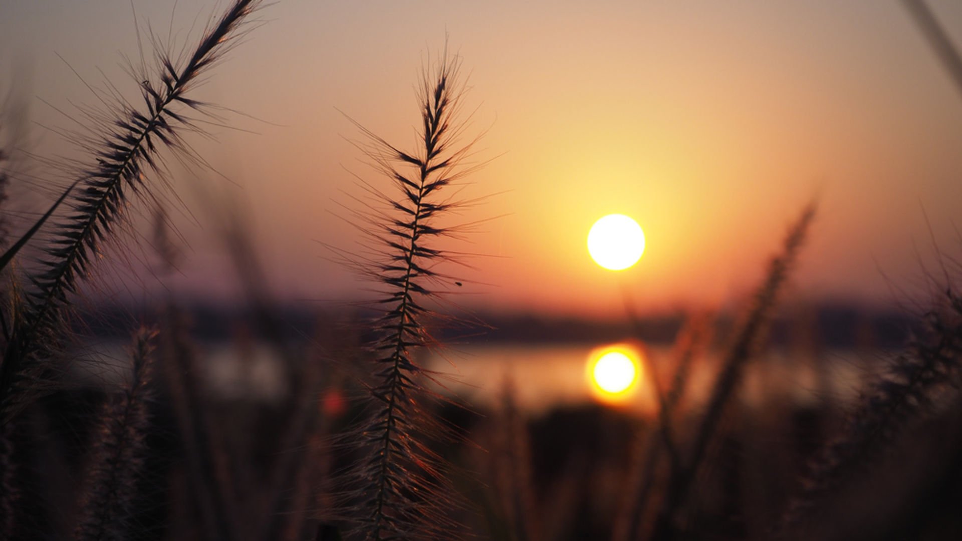 Meditasyonda odaklanma sorunu nasıl aşılır?